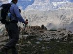 Cdn Rockies Adventure (Aug 2010) - Talus - 104
